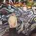 Anthony DiGeronimo - Facebook
