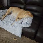 John Anthony DiMaria - @jdima43558 - Instagram