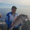Anthony Dimauro - @anthonydimauro4 - TikTok