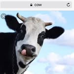 Anthony DiNuzzo - @anto_bro457 - Instagram