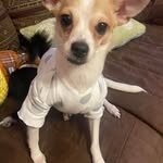 Anthony Donofrio - @antman_50 - Instagram