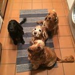 Anthony O' Donoghue - @donoghueanthonyo - Instagram