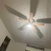 Anthony - @anthonydover6 - TikTok