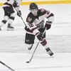 Mini Horse - @anthony.dowd - TikTok