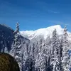 Anthony Doyle - @anthony.doyle26 - TikTok