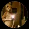 Anthony Drago - @anthony.drago7 - TikTok