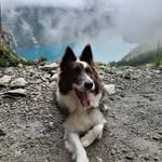 Anthony Dumont - @nana.vasco.940 - Instagram