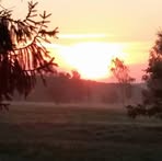 Anthony Durst - Facebook