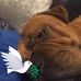 Tony Dutton - Facebook