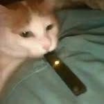 Anthony Duval - @weebmasta455 - Instagram
