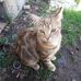 Anthony Duval - Facebook