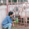 Jayant - @anthony.dykema424 - TikTok