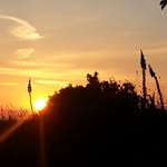 Anthony Eaton - @anthony.eaton.399 - Instagram