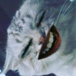 anthony clayton eggers - @a_anthonye123 - Instagram