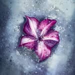 Anthony Ekes - @ant_ekans - Instagram