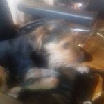 Anthony Eldridge - @lizade32 - Instagram