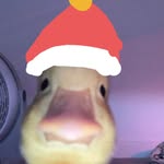 Nosequiensoyxd - @anthonyelielcruzdelgado - Instagram