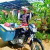 Mark Anthony Elim - @mark.anthony.elim - TikTok