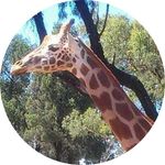 Anthony Elmore - @anthony_elmore - Instagram