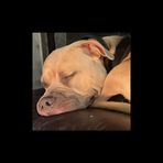 Anthony Elson - Facebook