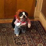 Anthony Emma - @anthony.emma.566 - Instagram