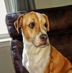 Anthony Ensley - Facebook
