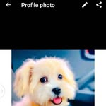 Anthony Eneh - @eneh171 - Instagram