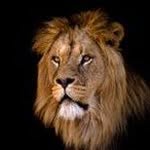 Anthony Enoch - @stgcnfl - Instagram