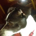Anthony Epperson - @anthony_epperson - Instagram