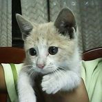 Anthony Erazo - Facebook