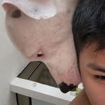 Anthony Erazo - @anthony_erazo20 - Instagram
