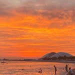 Anthony Erhardt - @erhardt6246 - Instagram