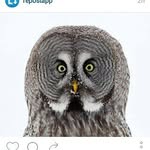 Anthony Erickson - @trees_are_meeseeks - Instagram