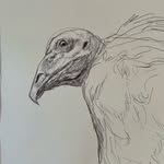 Anthony Ermio - @anthonyermio - Instagram