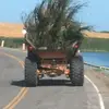 anthonyernst - @anthonyernst - TikTok