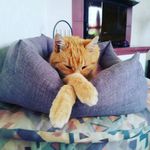 Anthony Eschenbrenner - @anthonyeschenbrenner - Instagram