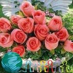 Anthony Eshun - @eshun4243 - Instagram