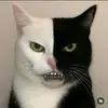Anthony Espinosa - @anthony.espinosa24 - TikTok