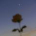 Anthony Espinosa - Facebook