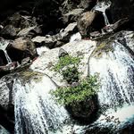 Anthony Espitia - @anthony_espitia51 - Instagram