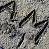 Anthony Esqueda9632 - @monthony - TikTok