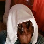 anthony esson - @esson.anthony - Instagram