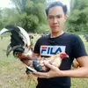 tonton - @karlanthonyestell - TikTok