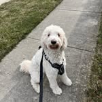 Anthony Estrada - @throughantseyes_ - Instagram