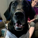 Anthony Etheridge - @antman8527 - Instagram