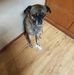 Anthony Eubanks - Facebook