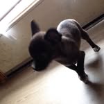 Anthony Eugenio - @anthony_eugenio1 - Instagram