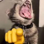 Anthony Eugenio - @1_up2_anthony - Instagram