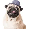 Anthony - @anthonyvachon - TikTok