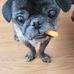 Anthony Evancho - Facebook